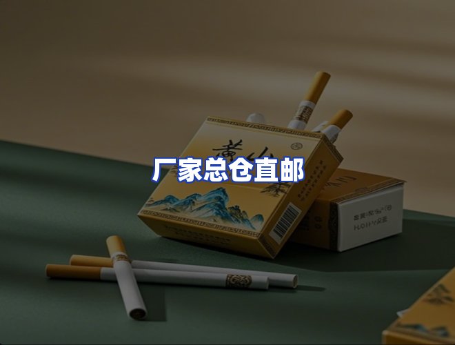 专业团队